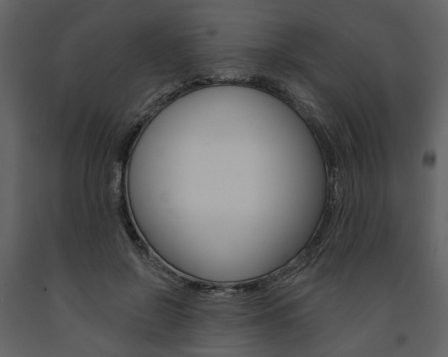 X0000091670550200708231016