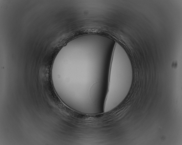 X0000091670551200708231016
