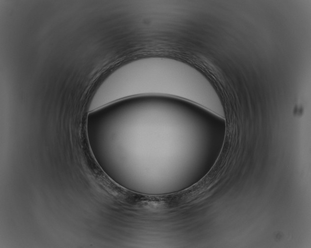 X0000091670552200708231016