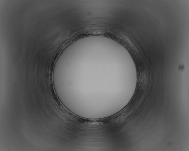 X0000091670553200708231016