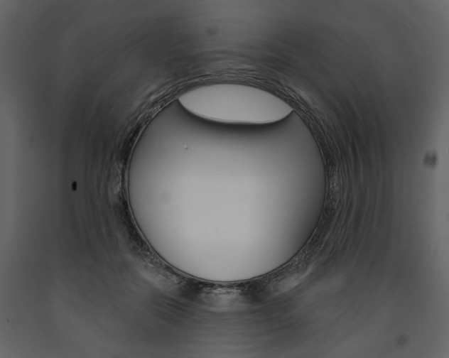 X0000091670554200708231016