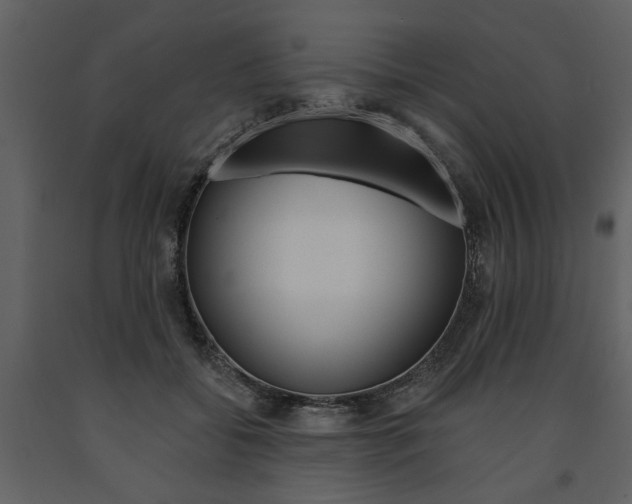 X0000091670556200708231016