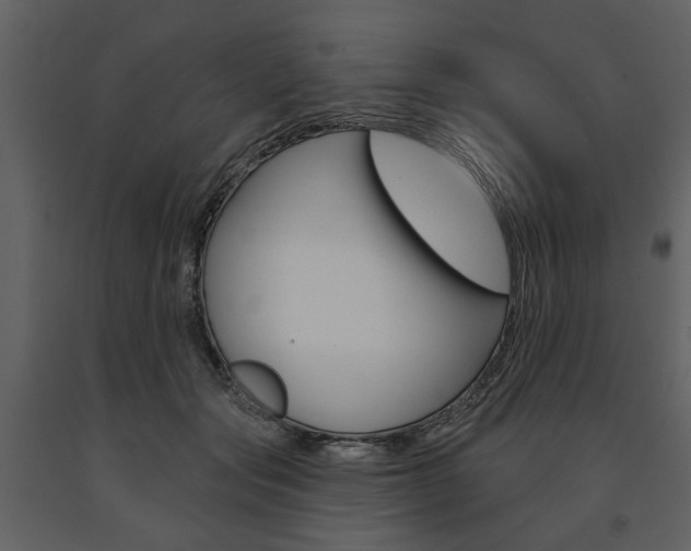 X0000091670557200708231016