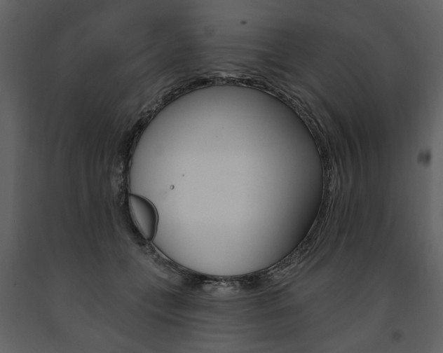 X0000091670559200708231016