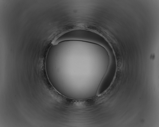 X0000091670560200708231016