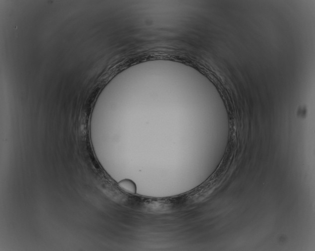 X0000091670561200708231016