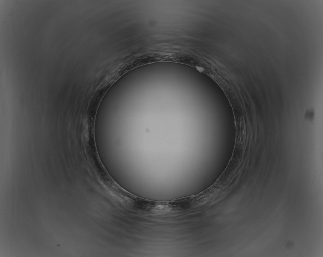 X0000091670562200708231016