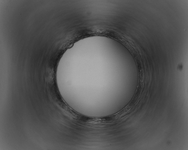 X0000091670563200708231016