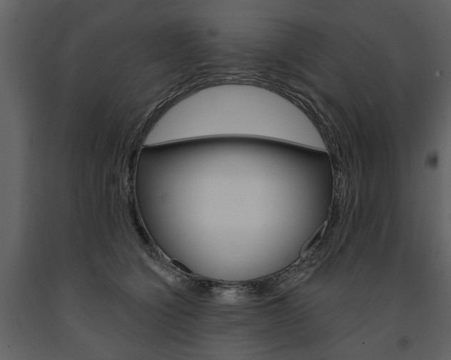 X0000091670564200708231016