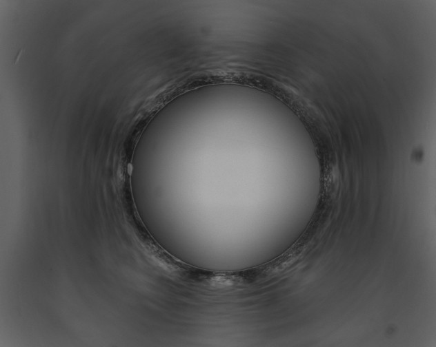 X0000091670566200708231016