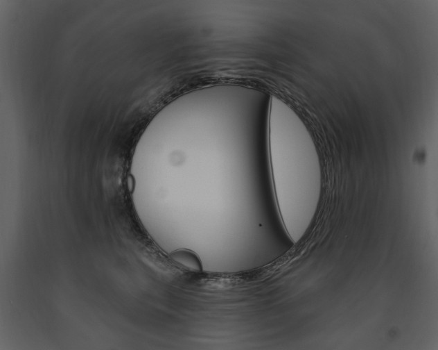 X0000091670567200708231016