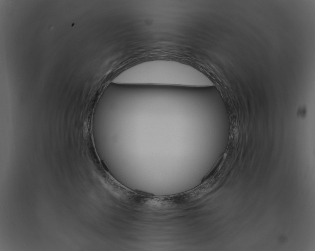 X0000091670568200708231016