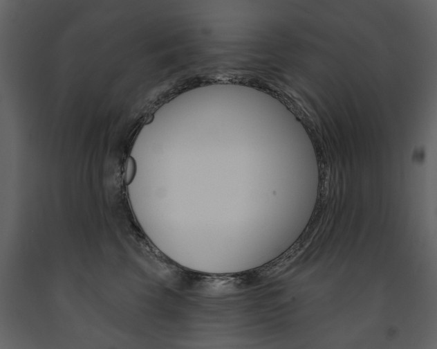 X0000091670569200708231016
