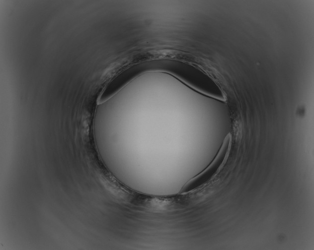X0000091670570200708231016