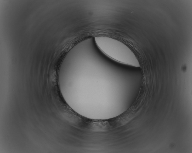 X0000091670571200708231016