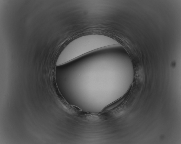 X0000091670572200708231016