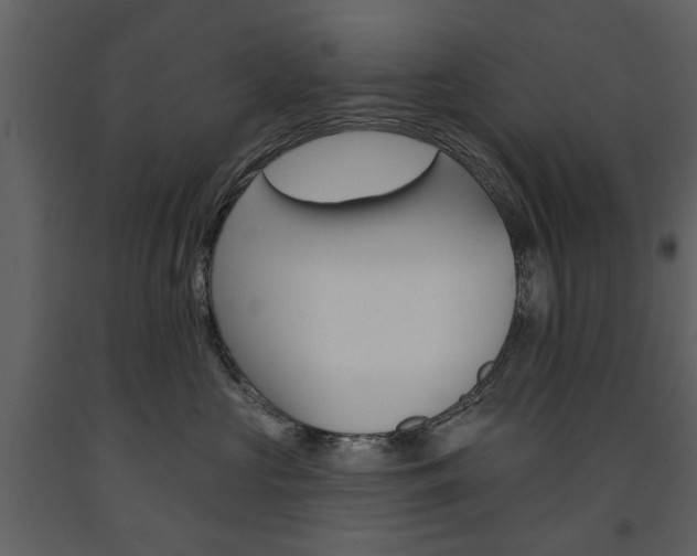 X0000091670573200708231016