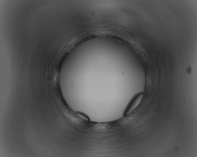 X0000091670574200708231016