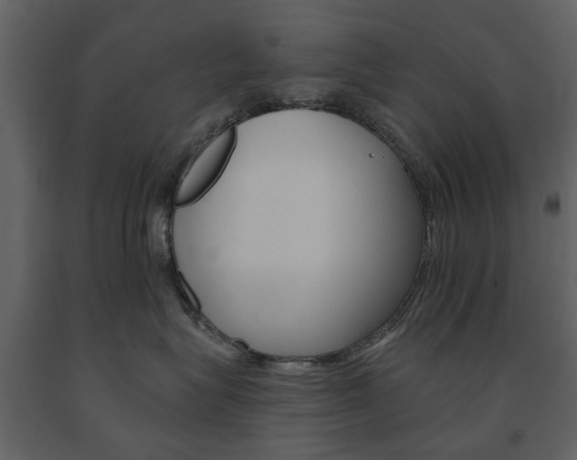 X0000091670575200708231016