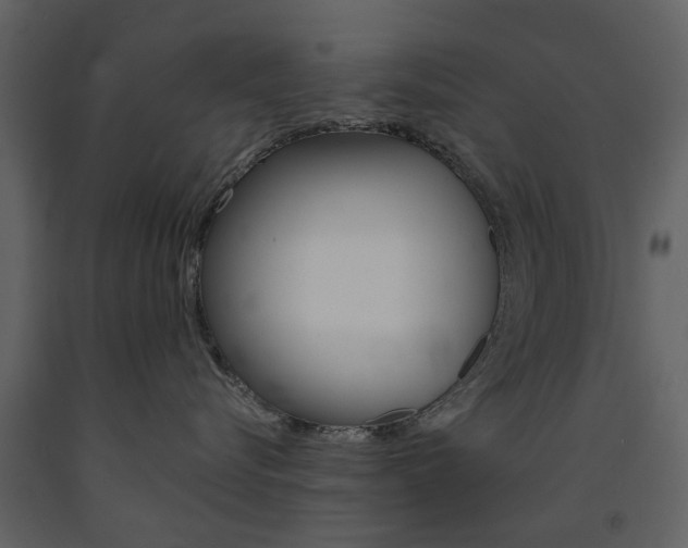 X0000091670576200708231016