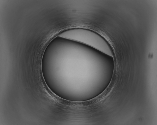 X0000091670577200708231015