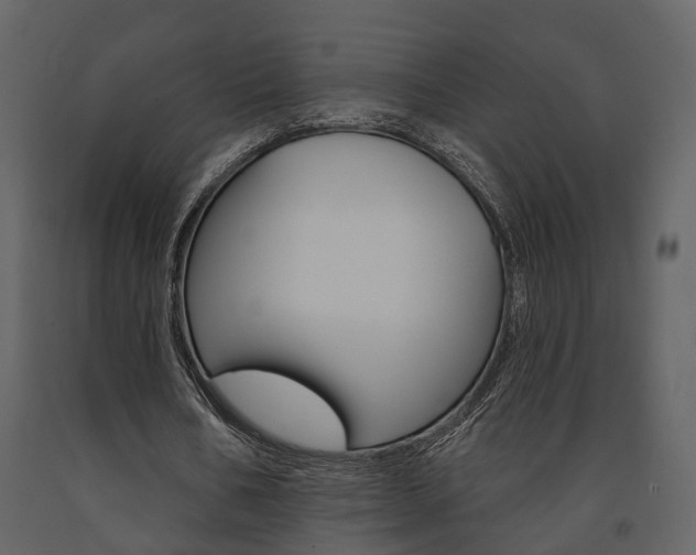 X0000091670578200708231015