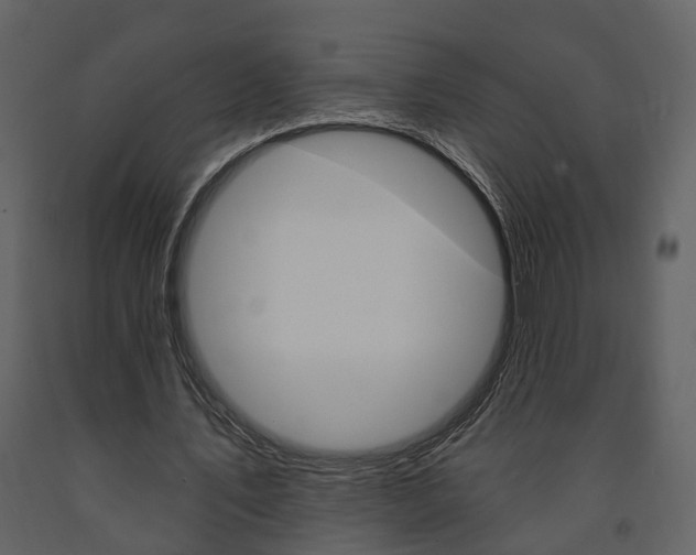 X0000091670579200708231015