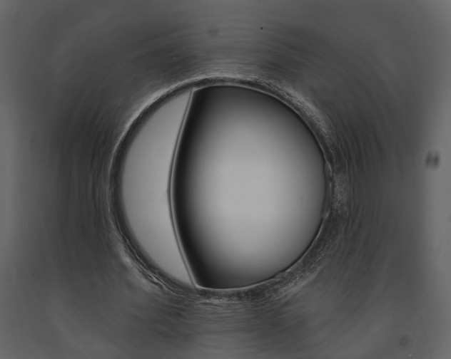 X0000091670580200708231015