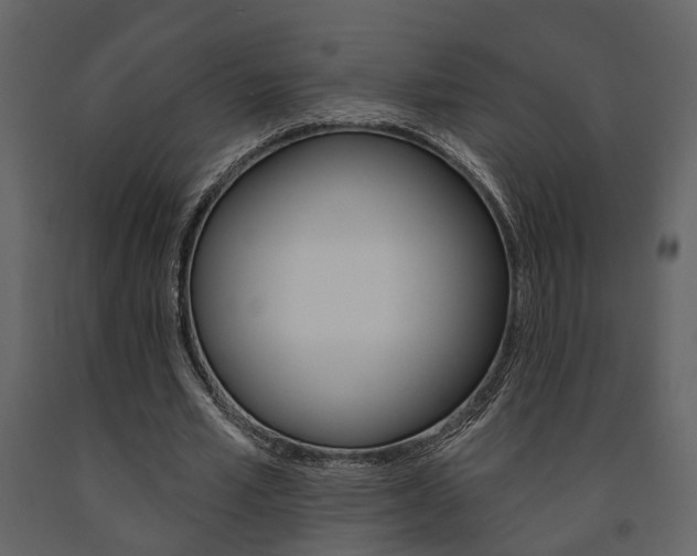 X0000091670581200708231015