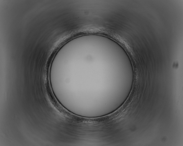 X0000091670582200708231015