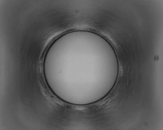 X0000091670583200708231015