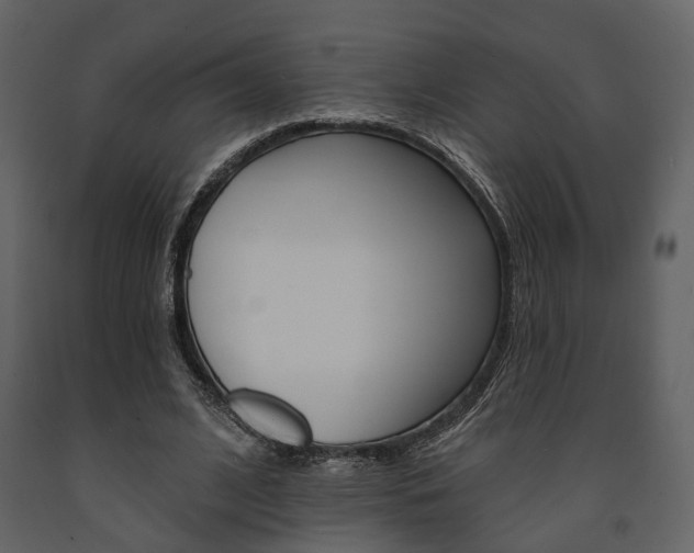 X0000091670584200708231015