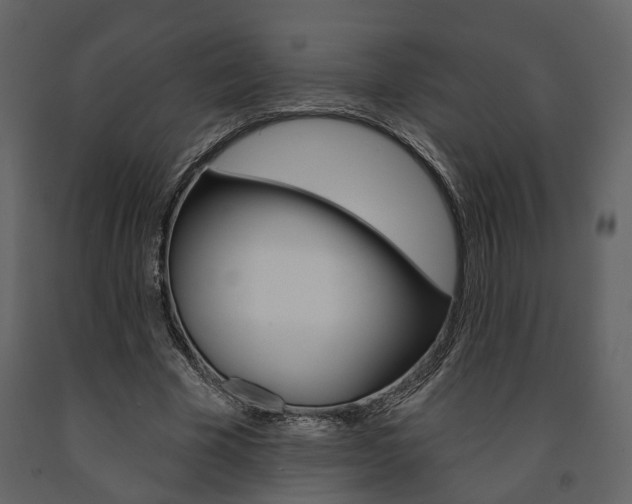X0000091670585200708231015