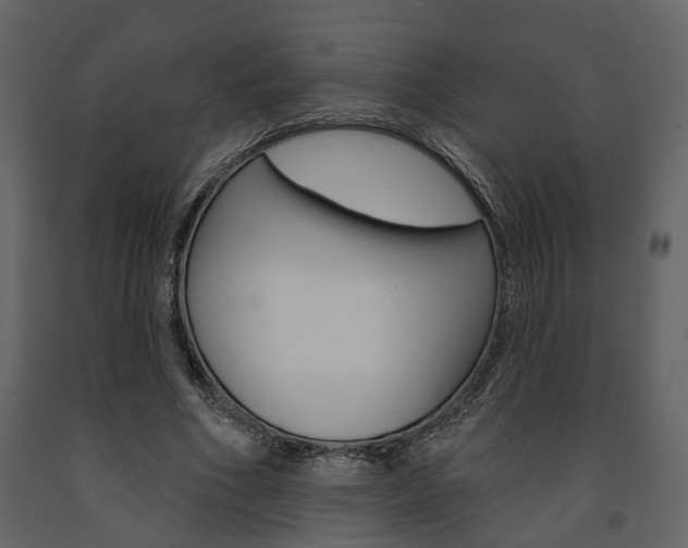 X0000091670586200708231015