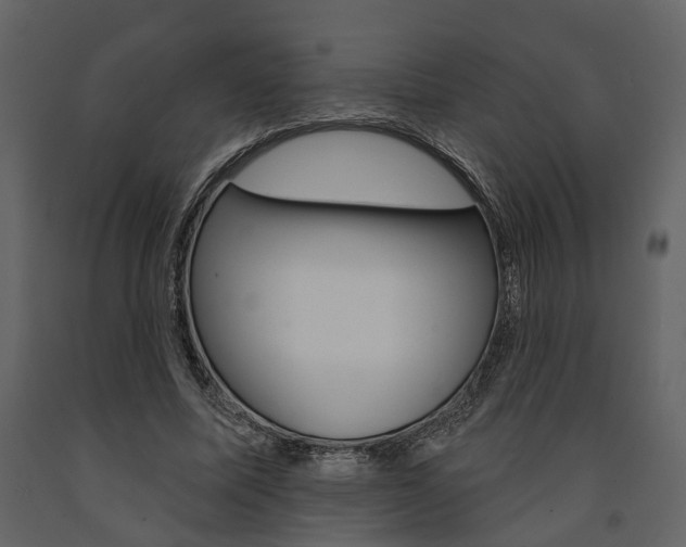 X0000091670587200708231015
