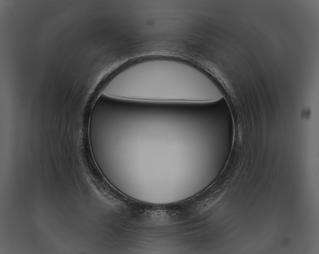 X0000091670588200708231015