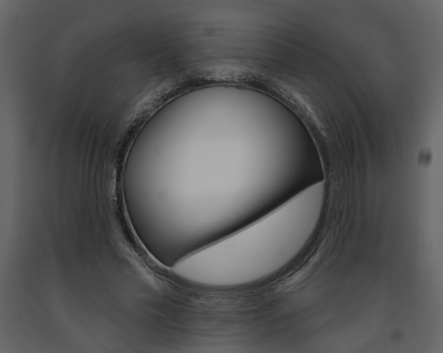 X0000091670589200708231015