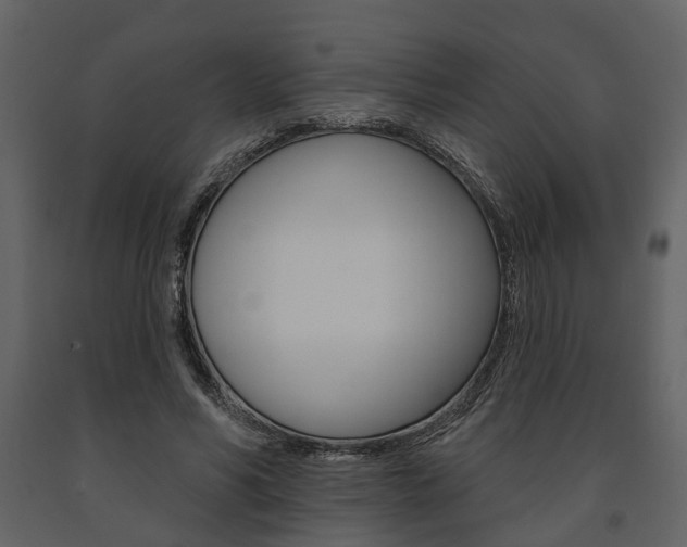 X0000091670590200708231015