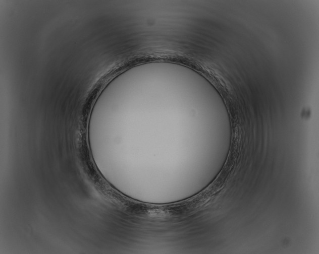 X0000091670591200708231015