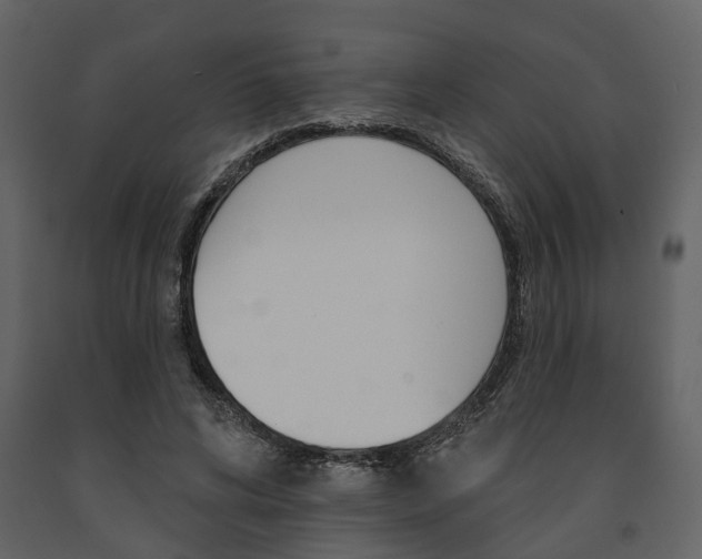 X0000091670592200708231015