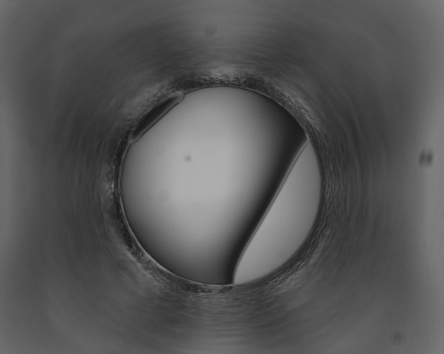 X0000091670593200708231015