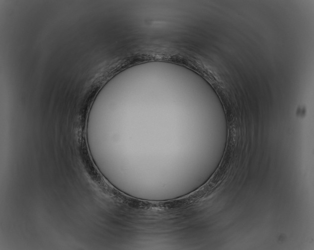 X0000091670594200708231015