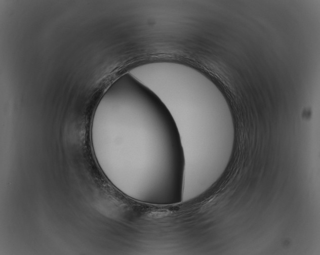 X0000091670595200708231015
