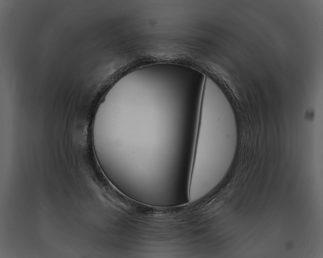 X0000091670596200708231015