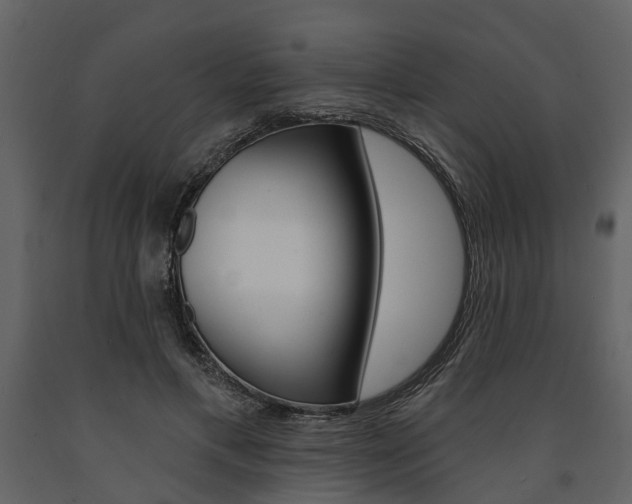 X0000091670597200708231015