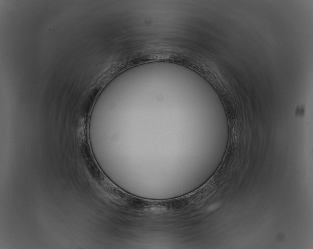 X0000091670598200708231015