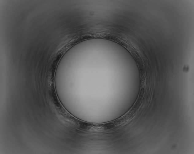 X0000091670599200708231015