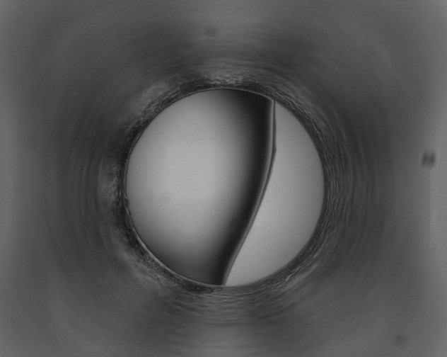X0000091670600200708231015