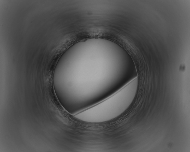 X0000091670601200708231015
