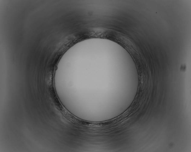 X0000091670602200708231015